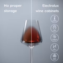 15 Şişe Kapasiteli 45 cm Ankastre Şarap Dolabı